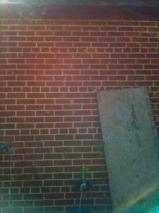 "I'm gonna paintball your house because my pitbull got out and attacked your dog but it's your fault"