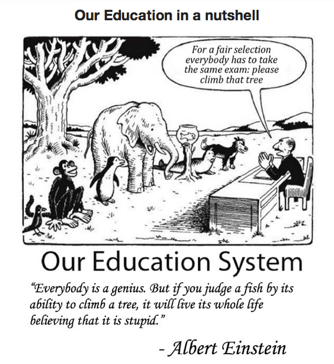 wpid-educationinanutshell-2013-11-19-14-36.png