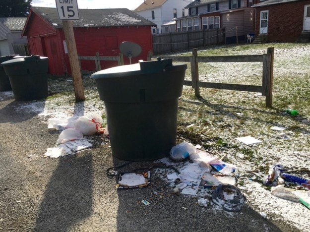 144nroysave_trashbagdumpingbeside300galloncontainers_011816-2016-01-20-16-59.jpg