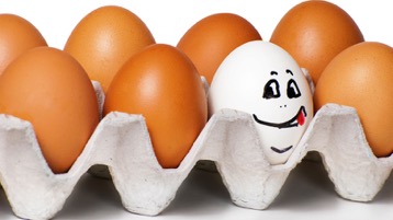 eggsmileinthecarton-2015-12-5-06-28.jpg