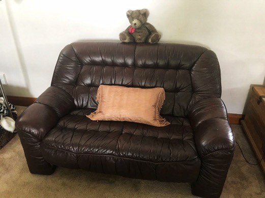 loveseatleather_momdad_hdr-bright_081318-2018-08-13-15-51.jpg